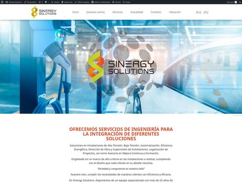 Sinergy Solutions: presencia online